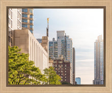 Load image into Gallery viewer, Manhattan Golden