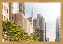 Load image into Gallery viewer, Manhattan Golden