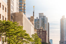 Load image into Gallery viewer, Manhattan Golden