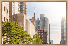 Load image into Gallery viewer, Manhattan Golden
