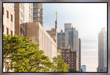 Load image into Gallery viewer, Manhattan Golden