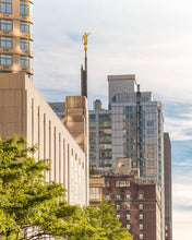 Load image into Gallery viewer, Manhattan Golden