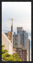 Load image into Gallery viewer, Manhattan Golden