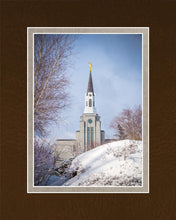 Load image into Gallery viewer, Boston Morning Snow Vertical