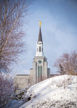Load image into Gallery viewer, Boston Morning Snow Vertical