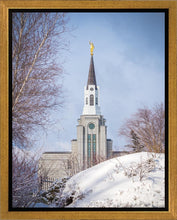 Load image into Gallery viewer, Boston Morning Snow Vertical