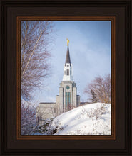Load image into Gallery viewer, Boston Morning Snow Vertical