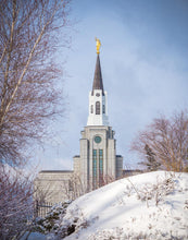 Load image into Gallery viewer, Boston Morning Snow Vertical