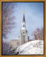 Load image into Gallery viewer, Boston Morning Snow Vertical