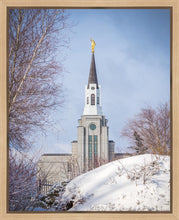 Load image into Gallery viewer, Boston Morning Snow Vertical