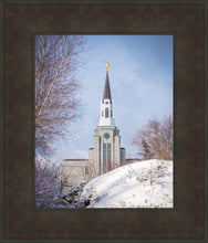 Load image into Gallery viewer, Boston Morning Snow Vertical