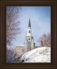 Load image into Gallery viewer, Boston Morning Snow Vertical