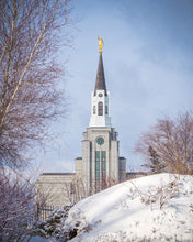 Load image into Gallery viewer, Boston Morning Snow Vertical