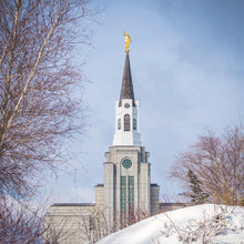 Load image into Gallery viewer, Boston Morning Snow Vertical