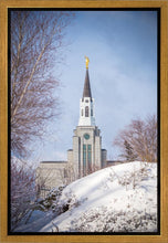 Load image into Gallery viewer, Boston Morning Snow Vertical
