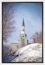 Load image into Gallery viewer, Boston Morning Snow Vertical