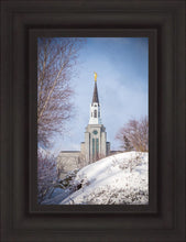 Load image into Gallery viewer, Boston Morning Snow Vertical
