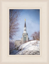 Load image into Gallery viewer, Boston Morning Snow Vertical
