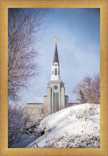 Load image into Gallery viewer, Boston Morning Snow Vertical