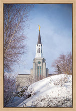 Load image into Gallery viewer, Boston Morning Snow Vertical