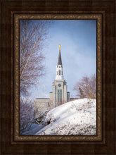 Load image into Gallery viewer, Boston Morning Snow Vertical