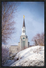 Load image into Gallery viewer, Boston Morning Snow Vertical
