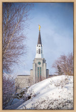 Load image into Gallery viewer, Boston Morning Snow Vertical