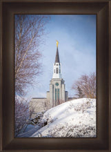 Load image into Gallery viewer, Boston Morning Snow Vertical