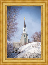 Load image into Gallery viewer, Boston Morning Snow Vertical
