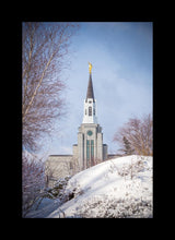 Load image into Gallery viewer, Boston Morning Snow Vertical