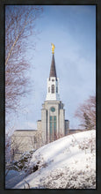 Load image into Gallery viewer, Boston Morning Snow Vertical