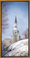 Load image into Gallery viewer, Boston Morning Snow Vertical