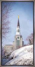 Load image into Gallery viewer, Boston Morning Snow Vertical