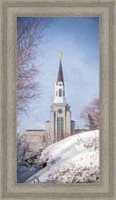 Load image into Gallery viewer, Boston Morning Snow Vertical
