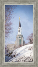 Load image into Gallery viewer, Boston Morning Snow Vertical