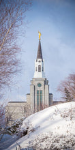 Load image into Gallery viewer, Boston Morning Snow Vertical