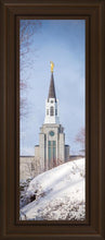 Load image into Gallery viewer, Boston Morning Snow Vertical
