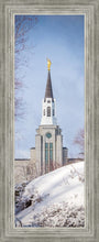 Load image into Gallery viewer, Boston Morning Snow Vertical