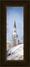 Load image into Gallery viewer, Boston Morning Snow Vertical