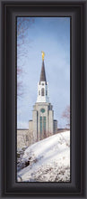 Load image into Gallery viewer, Boston Morning Snow Vertical
