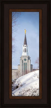 Load image into Gallery viewer, Boston Morning Snow Vertical