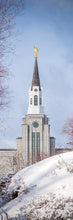 Load image into Gallery viewer, Boston Morning Snow Vertical