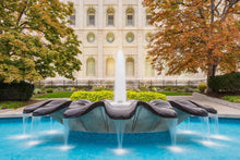 Load image into Gallery viewer, Salt Lake Autumn Fountain