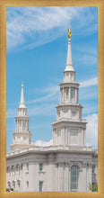 Load image into Gallery viewer, Philadelphia Daytime Skies