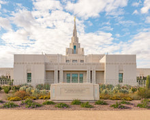 Load image into Gallery viewer, Phoenix Temple Desert Oasis