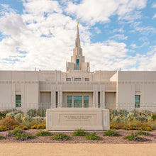Load image into Gallery viewer, Phoenix Temple Desert Oasis