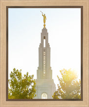 Load image into Gallery viewer, Redlands Temple Heavenly Glow