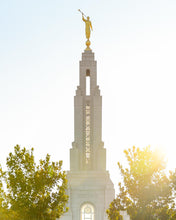 Load image into Gallery viewer, Redlands Temple Heavenly Glow
