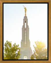 Load image into Gallery viewer, Redlands Temple Heavenly Glow