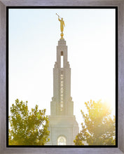Load image into Gallery viewer, Redlands Temple Heavenly Glow